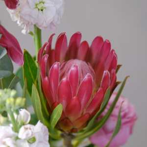 Бордовая орхидея Цимбидиум и протея в стеклянной вазе