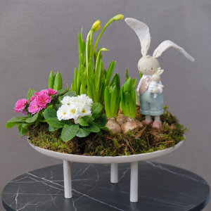 Садик с первоцветами в металлическом кашпо: нарциссы, гиацинты и примула с сувениром "Кто в цветочках живёт?"