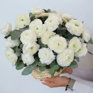 Ранункулюсы в корзине, 41 штучка с эвкалиптом
