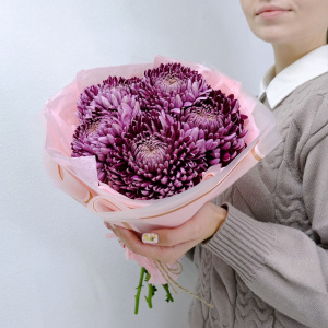Сезонные хризантемы Бигуди - оттенок винный, 5 штучек