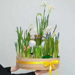 Садик с первоцветами: крокусы, тюльпаны, нарциссы и гиацинты "Зайчата"