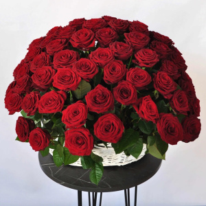 101 роза Россия (красные и ароматные) в корзине