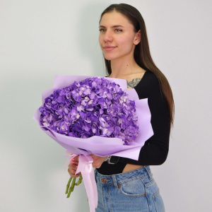 Гортензия 5 штучек, "Сиреневое облачко"