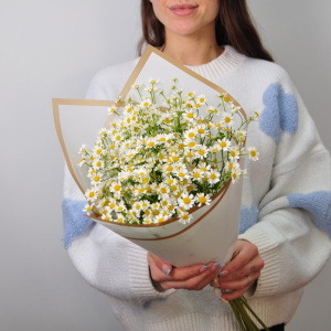 Душистые Ромашки, 11 штучек