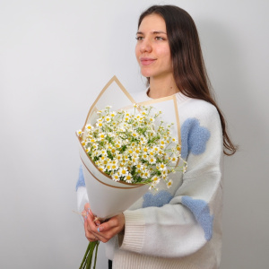 Душистые Ромашки, 11 штучек