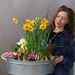 Садик с первоцветами: мускари, крокусы, нарциссы, примула и ветки вишни в композиции "Жёлтый колпак весны"