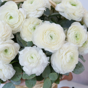 Ранункулюсы в корзине, 41 штучка с эвкалиптом