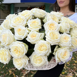 Самые шикарные розы для особенной девушки (51 роза в корзине)