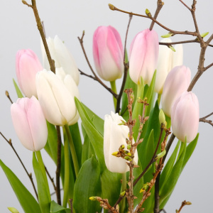 Тюльпаны  и форзиция в стеклянной вазе