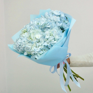 Гортензия 5 штучек, "Голубое облачко"