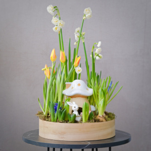 Садик с первоцветами: мускари, тюльпаны и гиацинты "Сказочный домик"