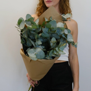 Зелёный букет - эвкалипт, букет для интерьера