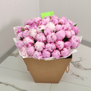 51 пион Сара Бернар (крупные пионы)