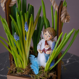 Мини сад с мускари нарциссами (луковичные) с сувениром в ящичке «Ангел Весны»