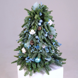 Ёлка новогодняя из датской пихты, 60 см "Frost Kiss"