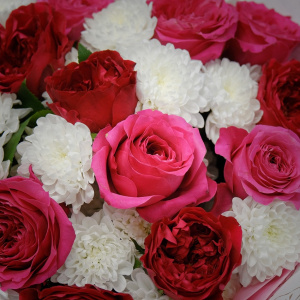 Пионовидные английские розы и хризантемы в букете "Той, что в моем сердце"