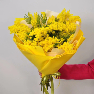 Монобукет "Итальянская мимоза"