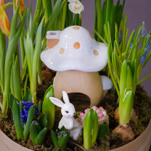 Садик с первоцветами: мускари, тюльпаны и гиацинты "Сказочный домик"