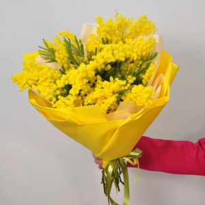 Монобукет "Итальянская мимоза"