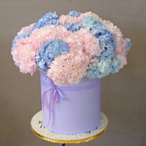 Гортензия, 21 штучка. Большой букет в коробке