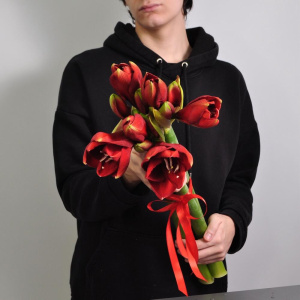 Амариллис, 3 штучки