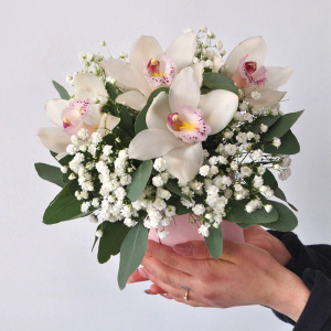 Букет с орхидеей в коробке