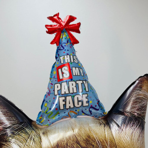 Шар Фольга сердитый Кот, 74 см