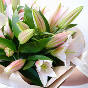 Королевская лилия, 5 веточек