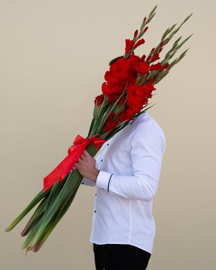 Красные гладиолусы, 5 шт
