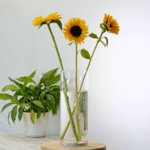 Ваза цилиндр, 15х40