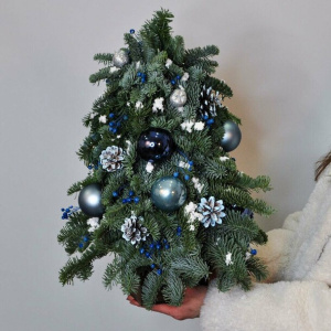 Ёлка ручной работы из живой ели «Синий иней»