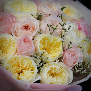 Пионовидные розы в нежных оттенках, 15 штучек (Английские розы Дэвида Остина)