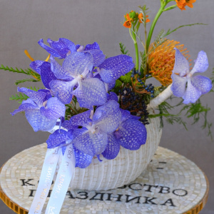 Орхидея Ванда в композиции в керамическом кашпо "Горячий бриз"