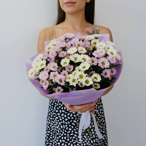 Ромашки Сантини, 11 штучек