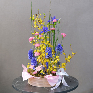 Гиацинты, ветки форзиции и ирисы в композиции в кашпо "Цветные сны"