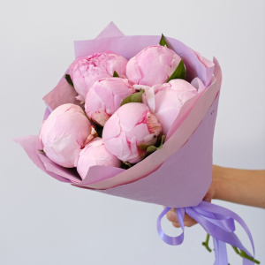 Пионы розовые Сара Бернар, 7 штучек