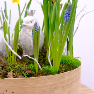 Садик с первоцветами: мускари и нарциссы в композиции "Ранние пташки"