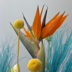 Экзотичный букет WOW! Стрелиция, гортензия, розы и пионовидная лилия. Букет гигант 80см