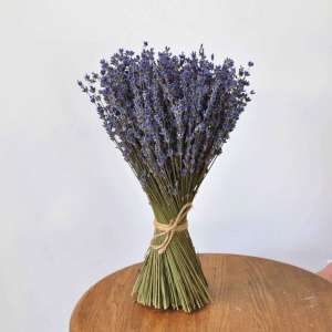 Букет лаванды интерьерный