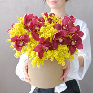 Бордовые орхидеи и ароматная мимоза в коробке "Медовая орхидея"