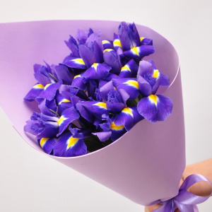 Невероятно яркие ирисы, 11 штучек