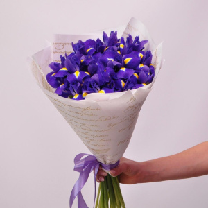 Невероятно яркие ирисы, 21 шт