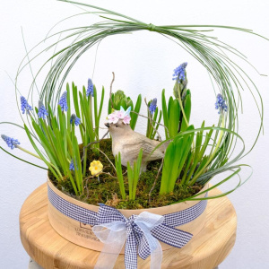 Садик с первоцветами: гиацинты и мускари с сувениром «Ранняя пташка»