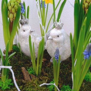 Садик с первоцветами: мускари и нарциссы в композиции "Ранние пташки"