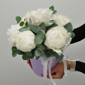 Белые пионы в коробочке с эвкалиптом, 7 штучек