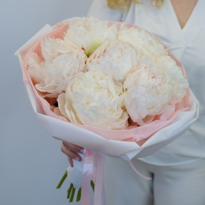 Белые пионы, 7 штучек