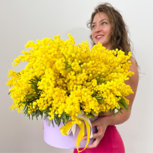 Мимоза в коробке "Единственной и неповторимой"