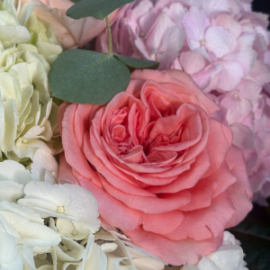 Пионовидные розы и гортензии в большой коробке