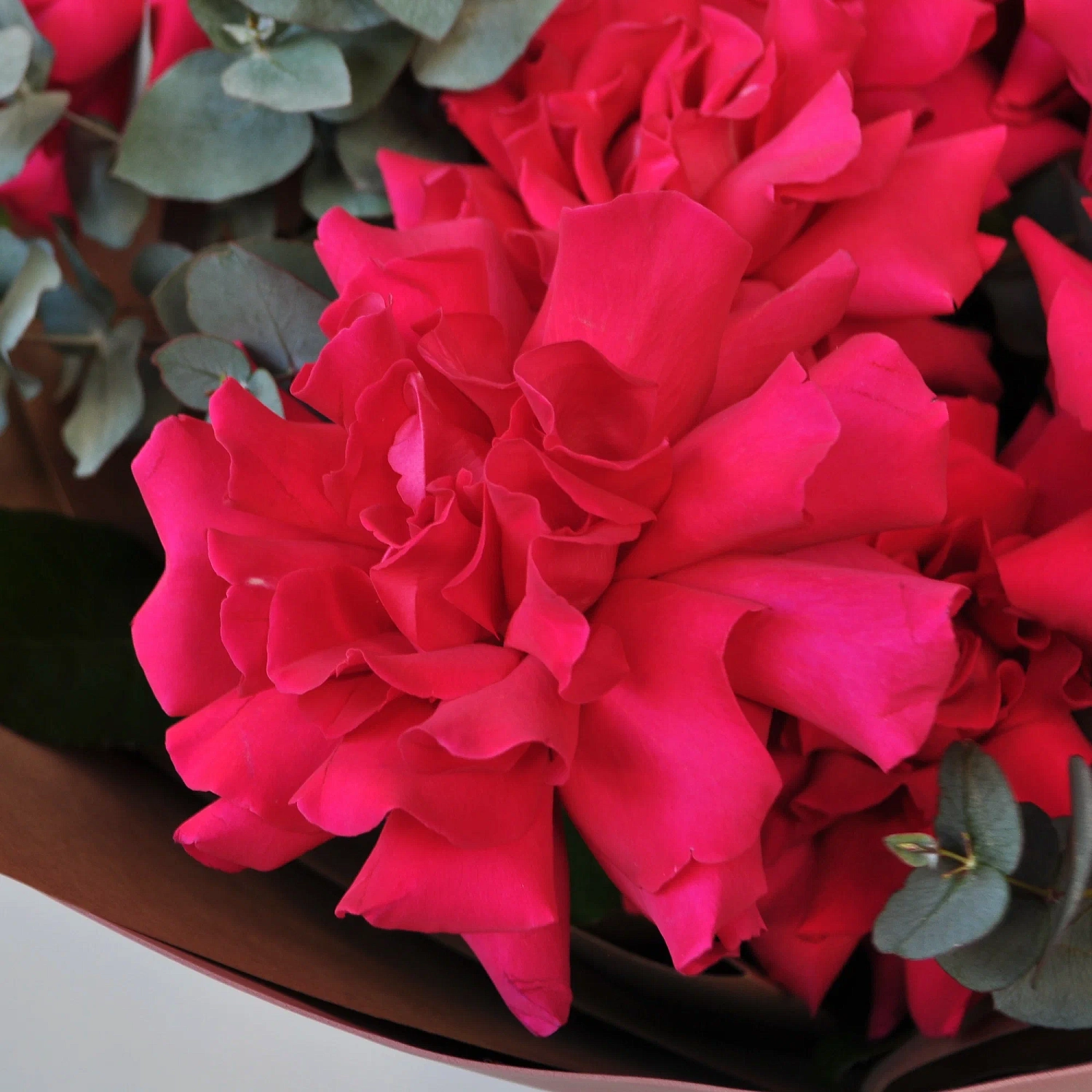 Мега необычные!!! Французские розы с эвкалиптом, 7 штучек букет для любимой