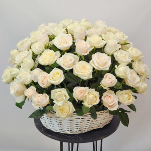 101 роза Россия (белые и ароматные) в корзине